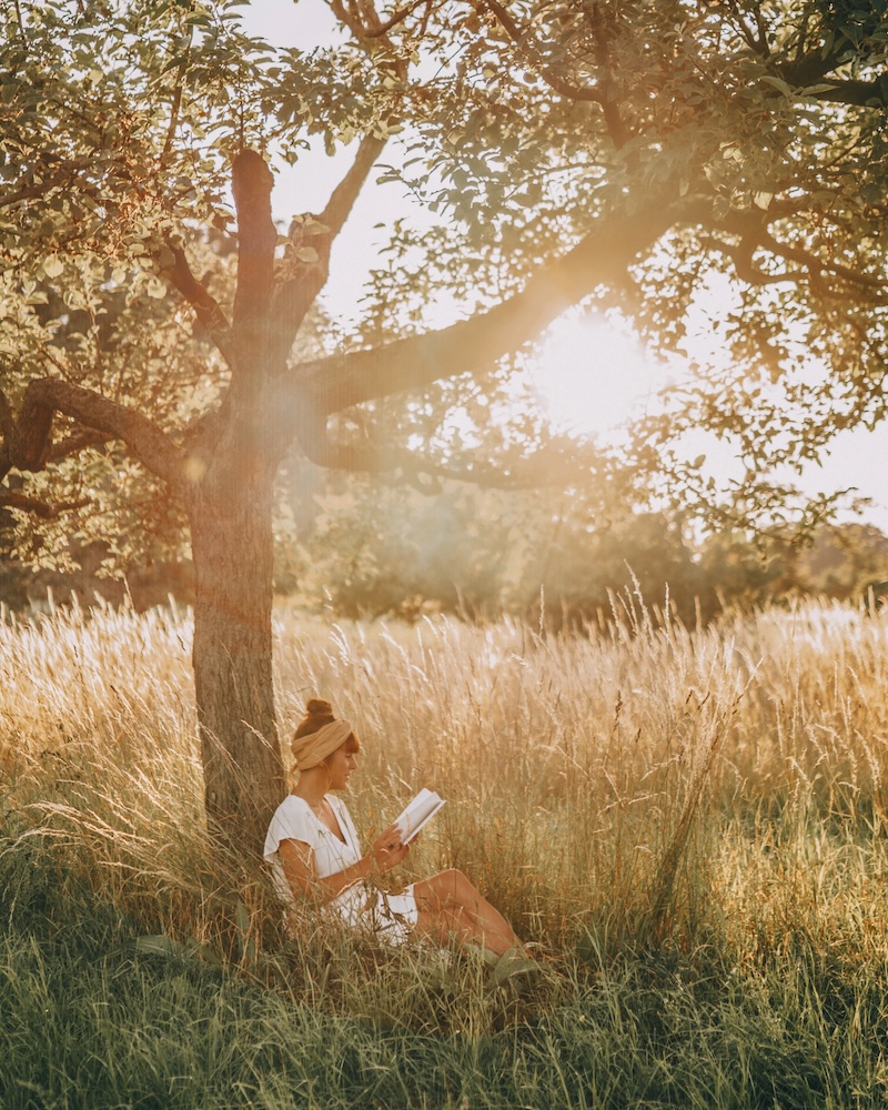 Bücher über Reisen