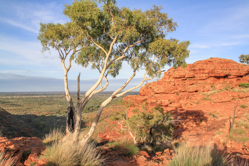 Ayers Rock Australien Outback Kings Canyon