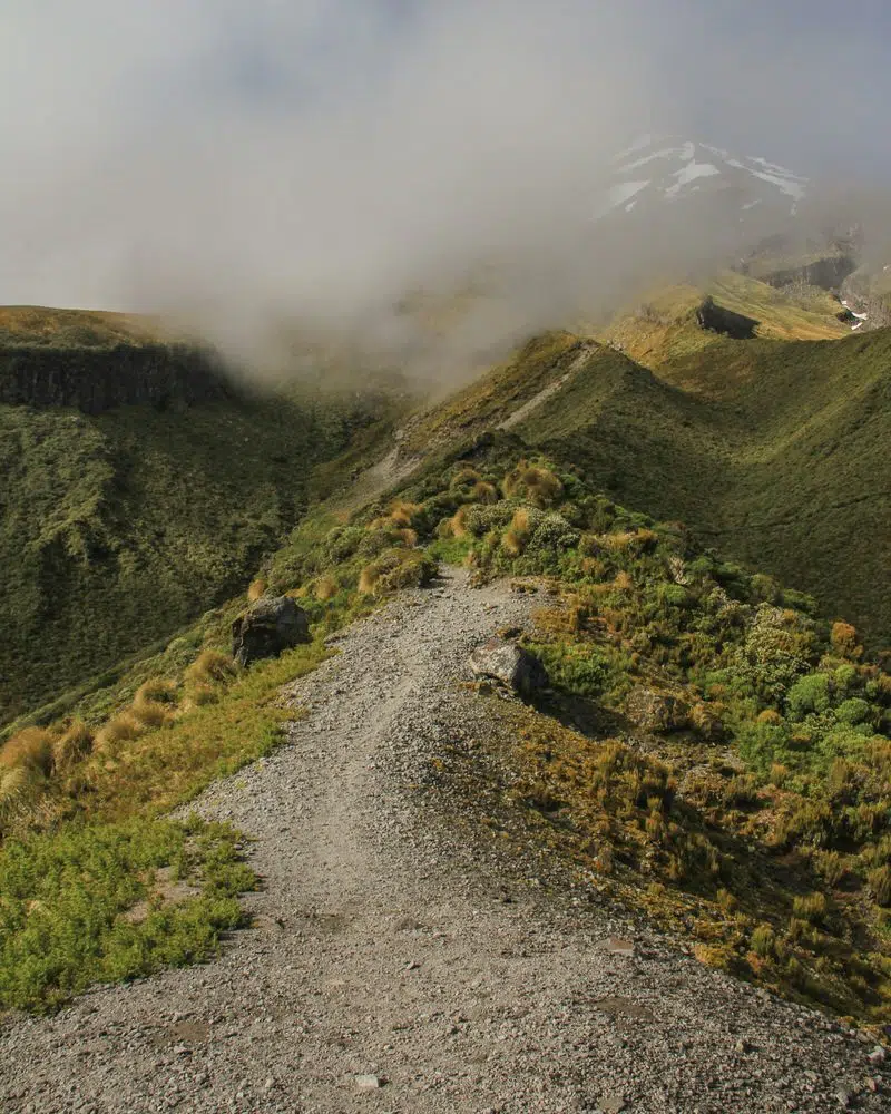 Taranaki Crossing Neuseeland