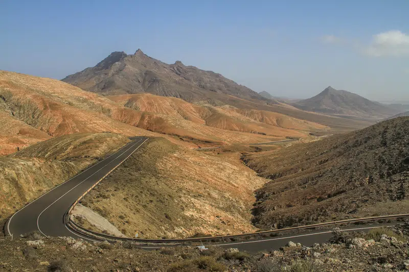 Fuerteventura Sehenswuerdigkeiten Montana Cardon