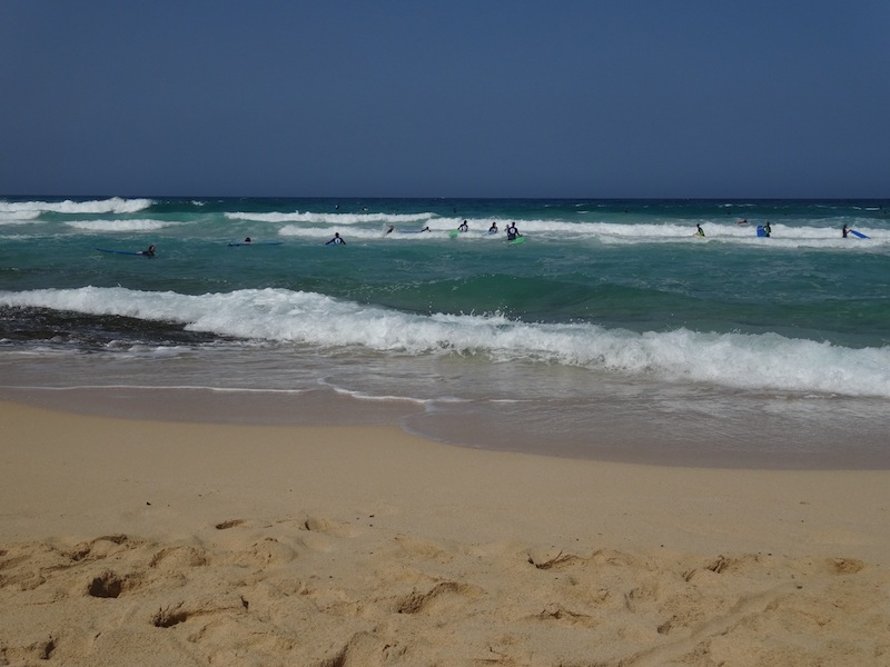 Surfen Fuerteventura