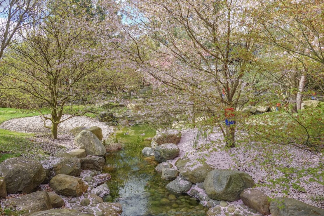 Gärten der Welt Kirschblütenfest