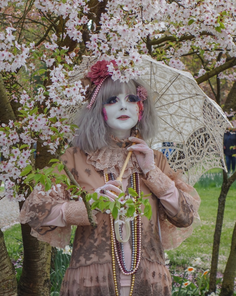 Kirschblütenfest in Berlin