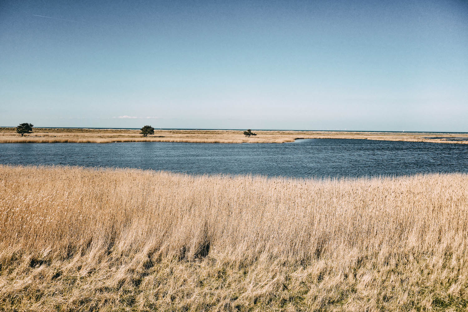 Ostsee Fischland Darss Zingst Boddenlandschaft