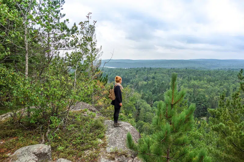 Algonquin Park Kanada