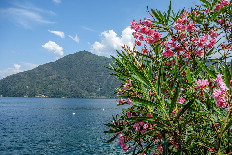 Cannobio Lago Maggiore Italien