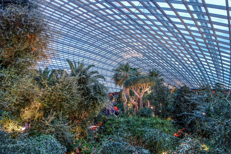 Singapur Flower Dome