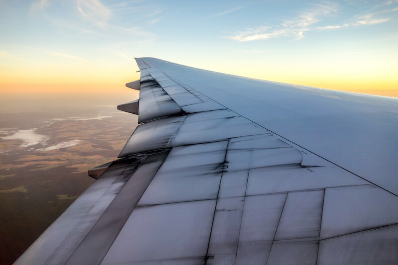 fliegen