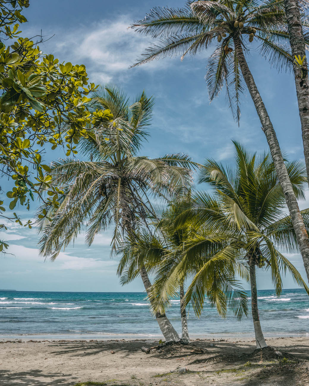 Puerto Viejo Costa Rica