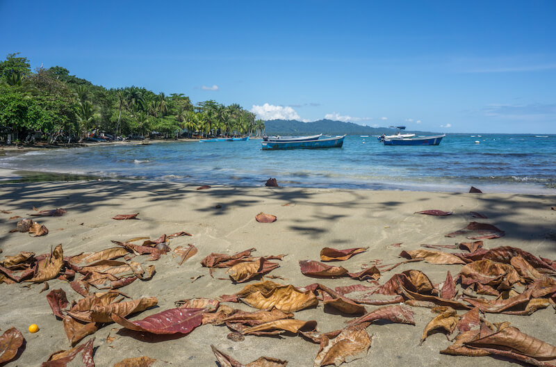 Puerto Viejo: Pura Vida an Costa Ricas traumhafter Karibikküste