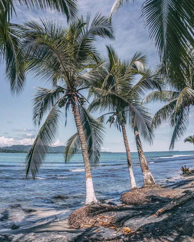Puerto Viejo Strand