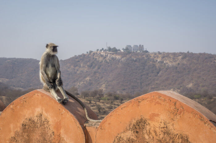 Jaipur Jaigarh Fort