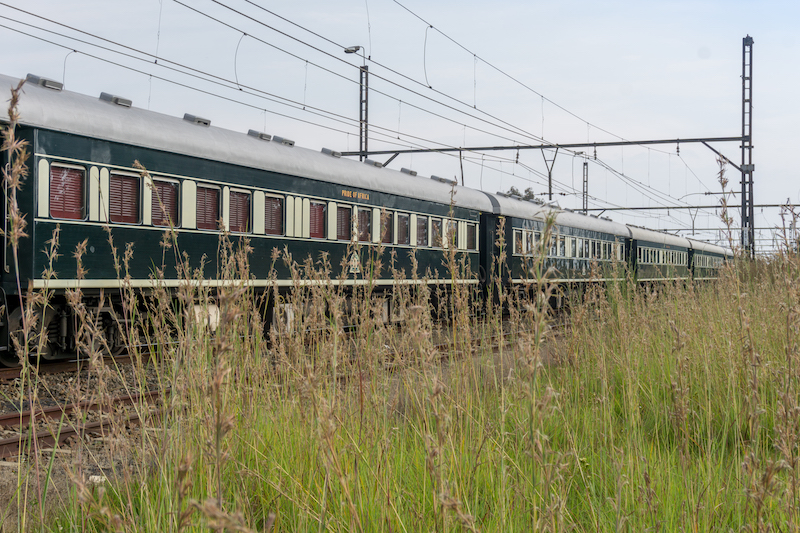 Rovos Rail Pride of Africa Safari Suedafrika