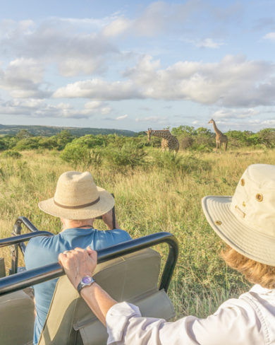 Safari in Suedafrika And Beyond Phinda Private Game Reserve