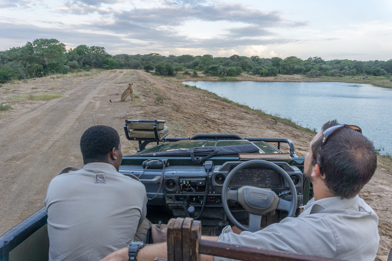 Safari in Suedafrika AndBeyond Phinda Private Game Reserve
