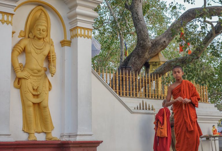 Auf den Spuren Buddhas Spiritualität & Buddhismus in Sri Lanka