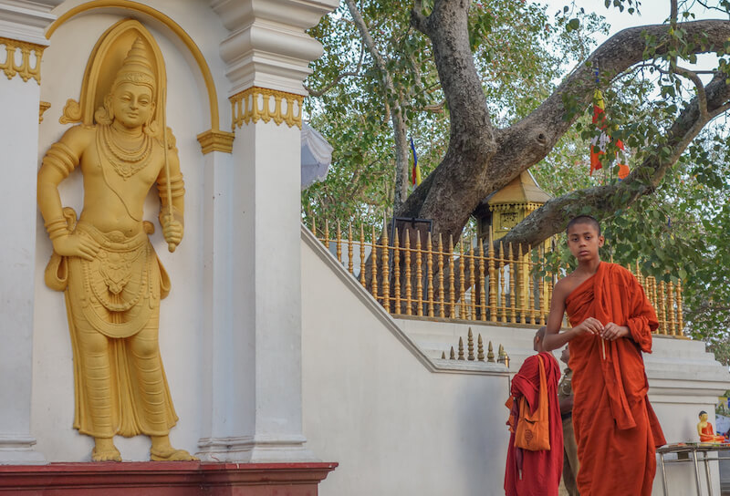 Buddhismus in Sri Lanka
