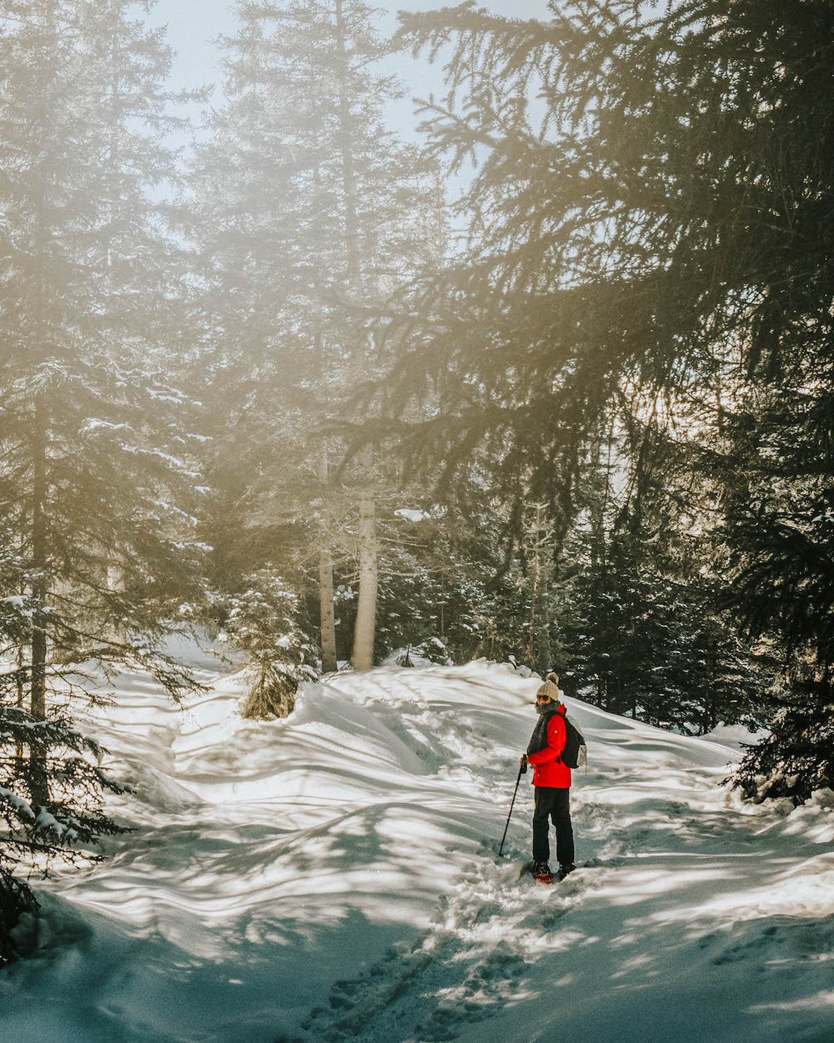 Mieminger Plateau Schneeschuhwandern Innsbruck Tirol