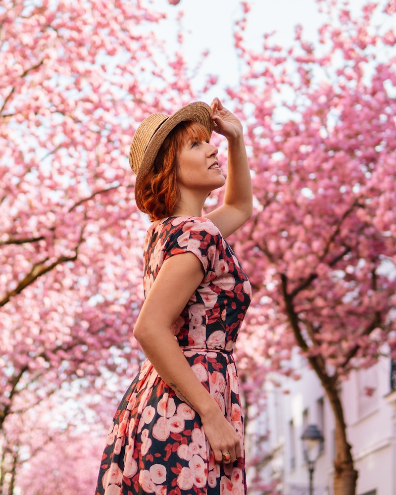 Kirschblüte in Bonn