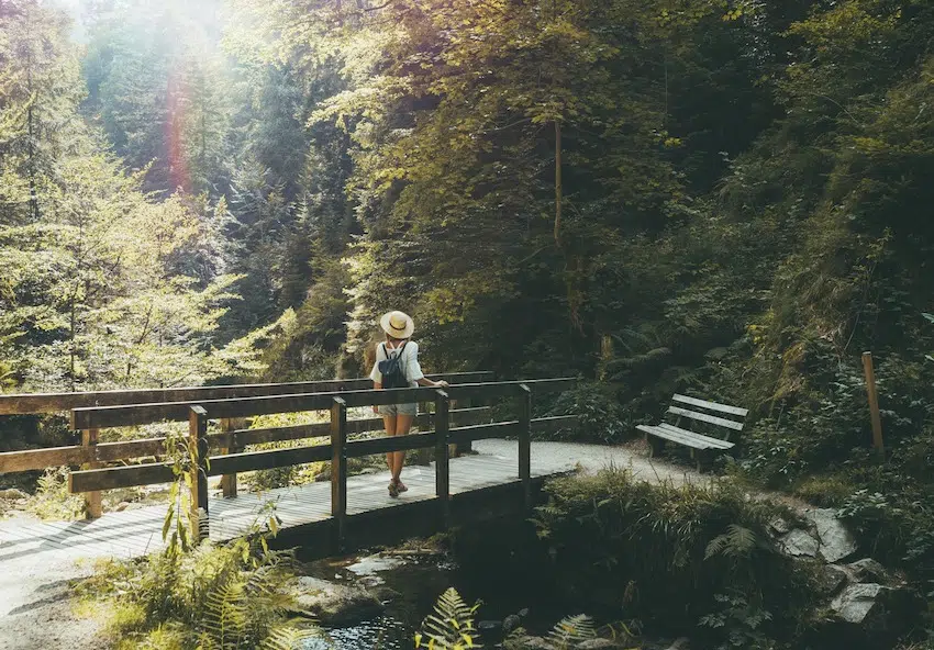 Schwarzwald Allerheiligen Wasserfall