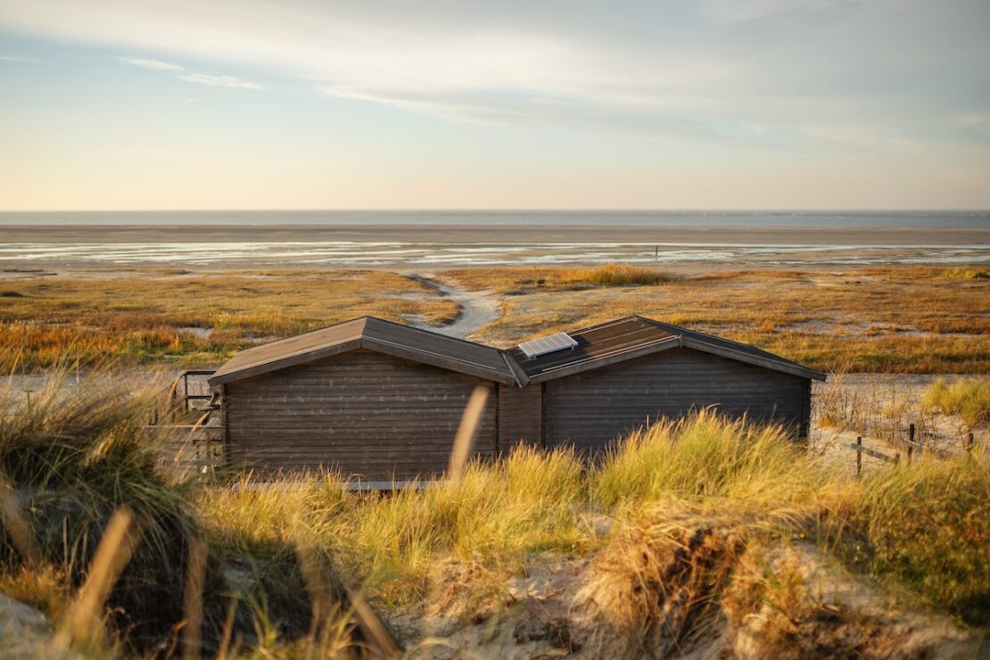 Dünen auf Schiermonnikoog an der Nordsee