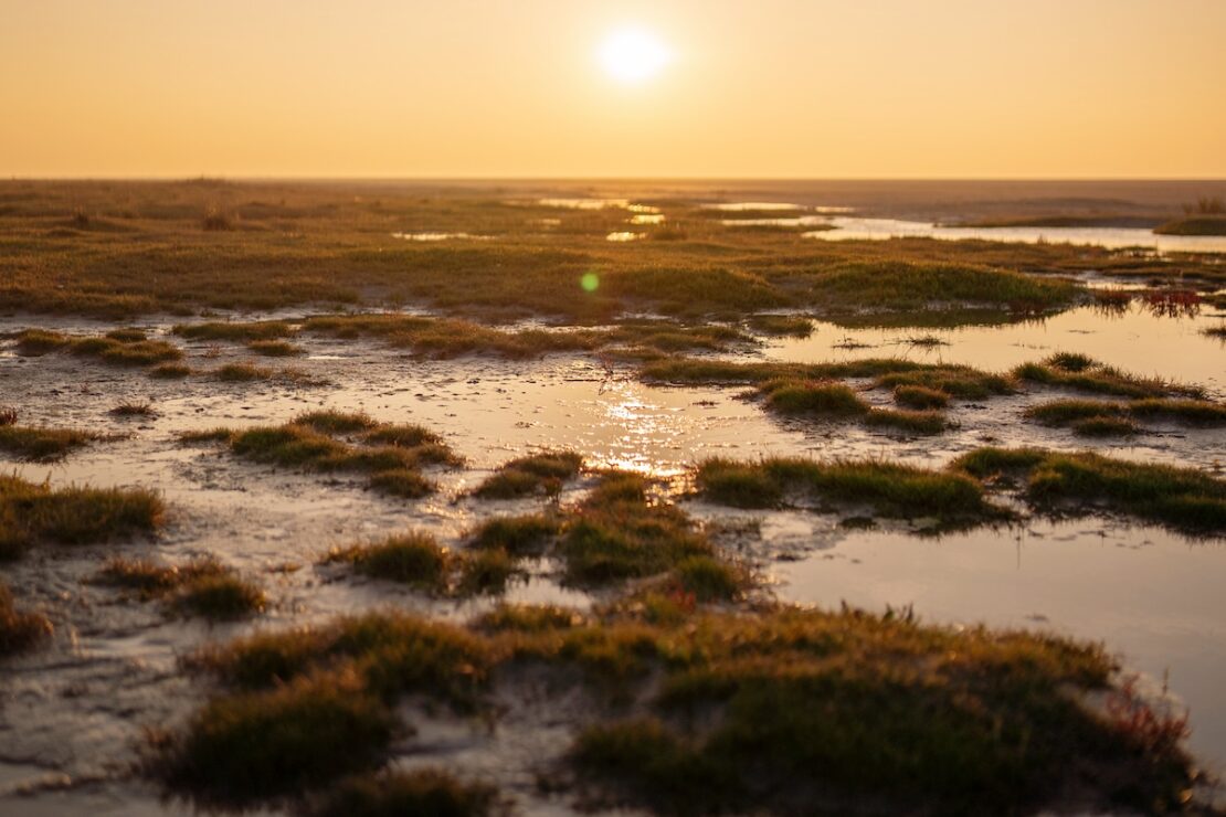 Weltnaturerbe Wattenmeer Nordsee