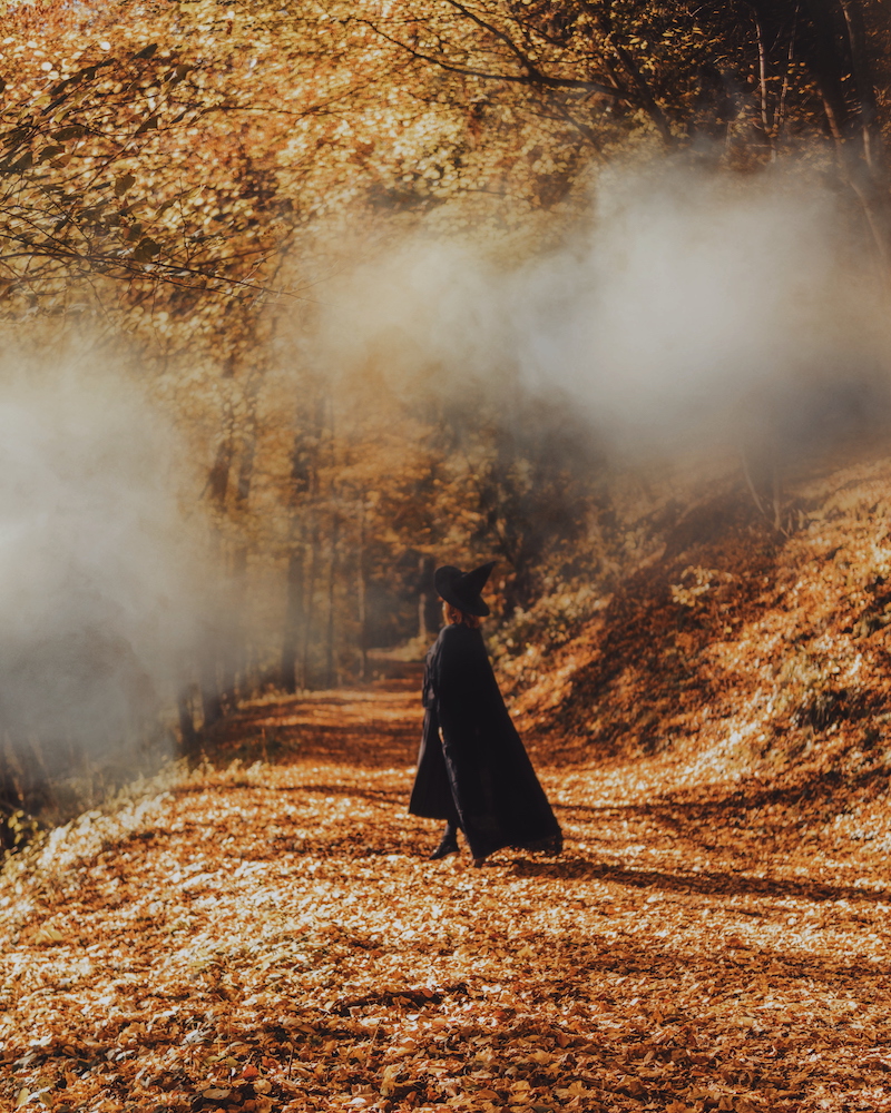 Halloween Herbst
