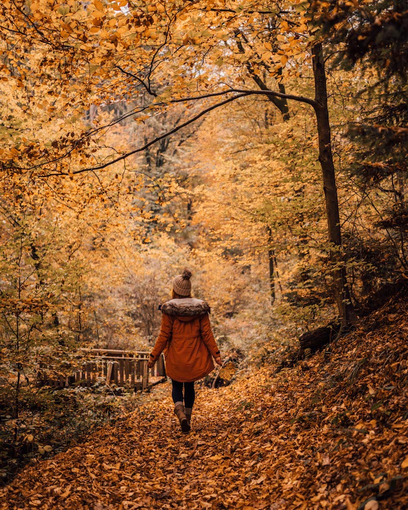 Herbst globusliebe