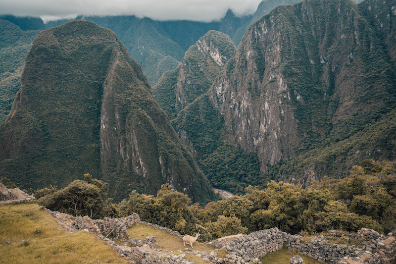 Inka Trail Machu Picchu