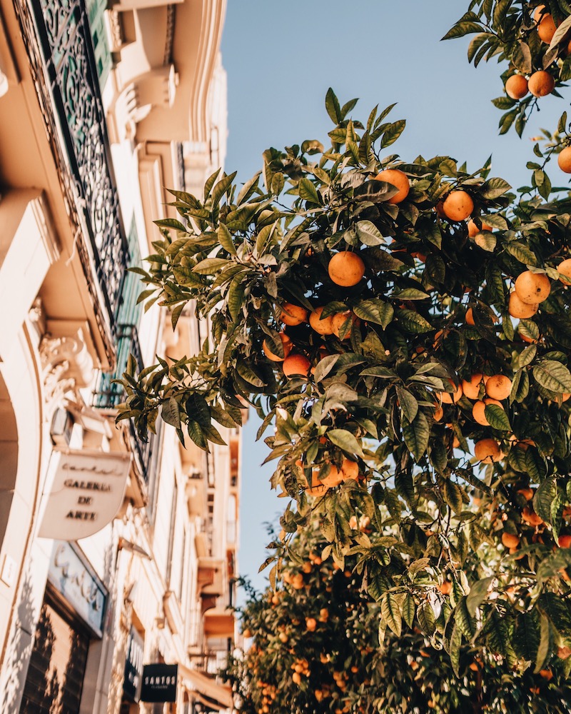 Malaga Sehenswuerdigkeiten Altstadt