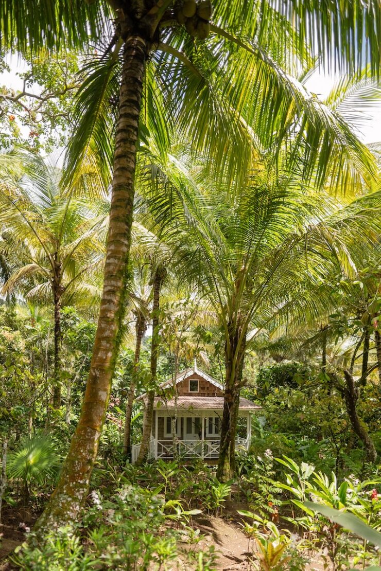 Saint Lucia Unterkünfte Fond Doux Eco Resort