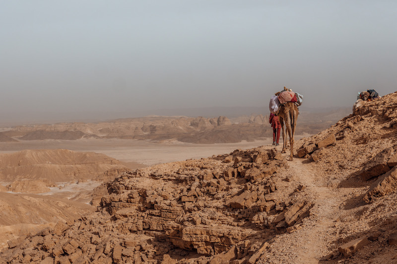 Wüstenreise Sinai