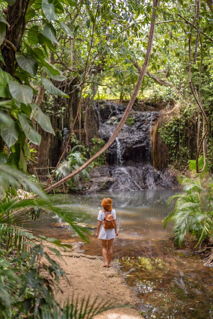 Latille Wasserfall Saint Lucia Karibik