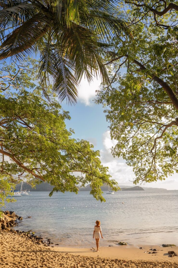 Saint Lucia Karibik Pigeon Island Nationalpark