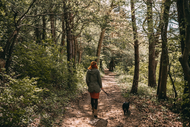 Usedom Tipps wandern