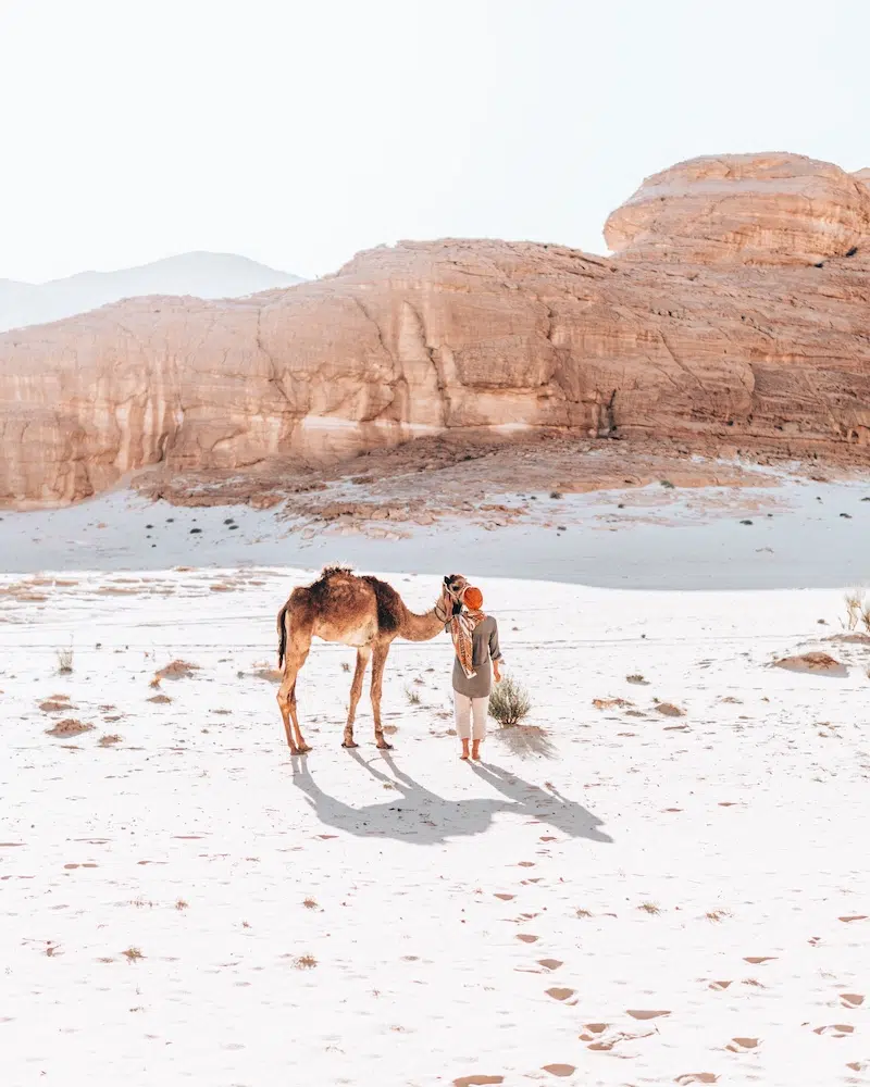 Wüste Sinai Ägypten