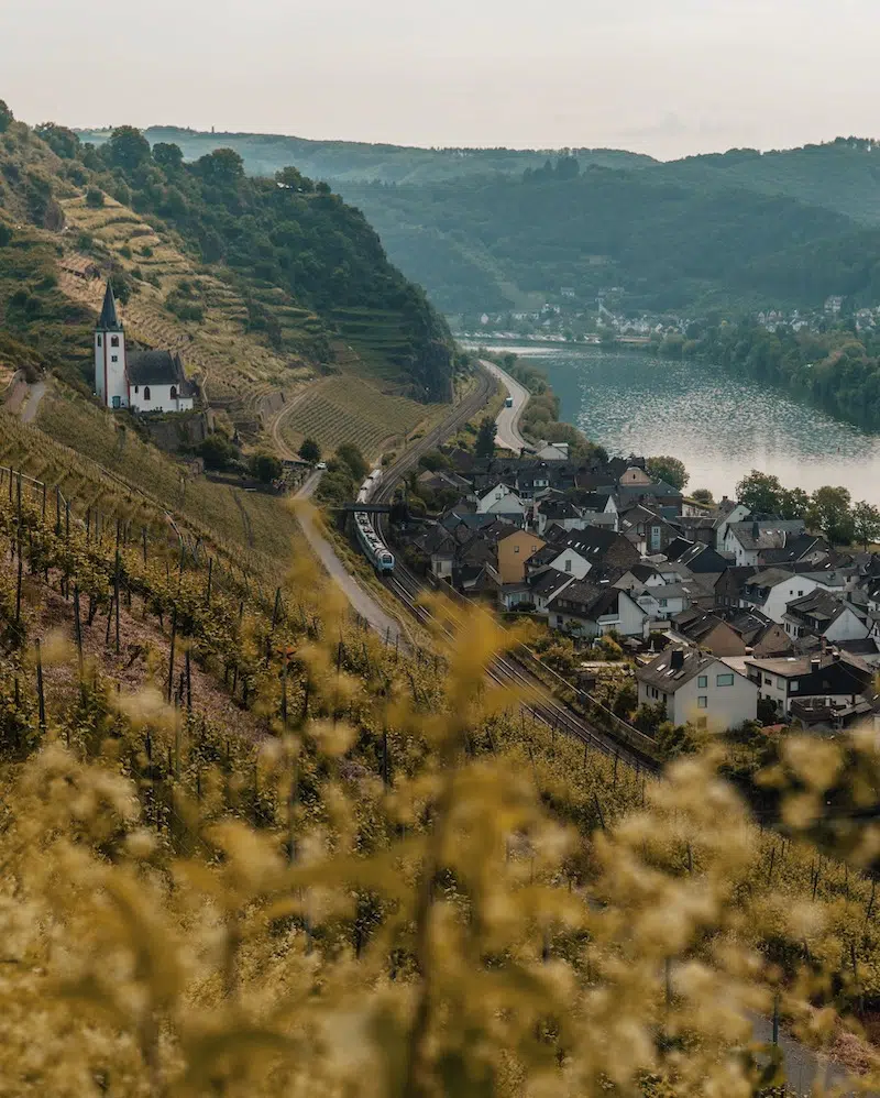 Hatzenporter Laysteig Mosel Wanderung