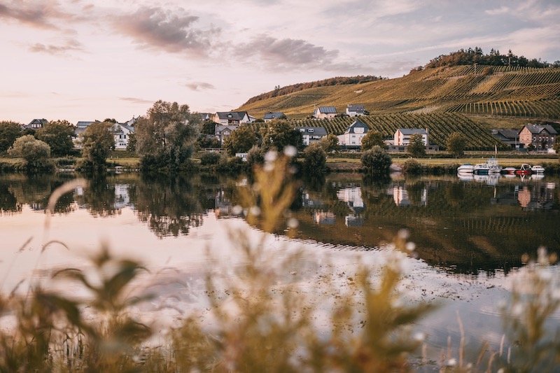 Mosel Urlaub Mosel Radweg