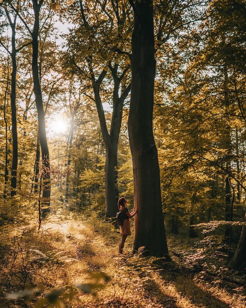 Waldbaden Naturpark Habichtswald