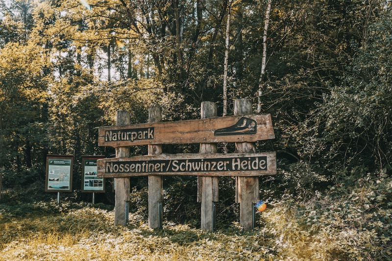 Mecklenburgische Seenplatte Schwinzer Heide