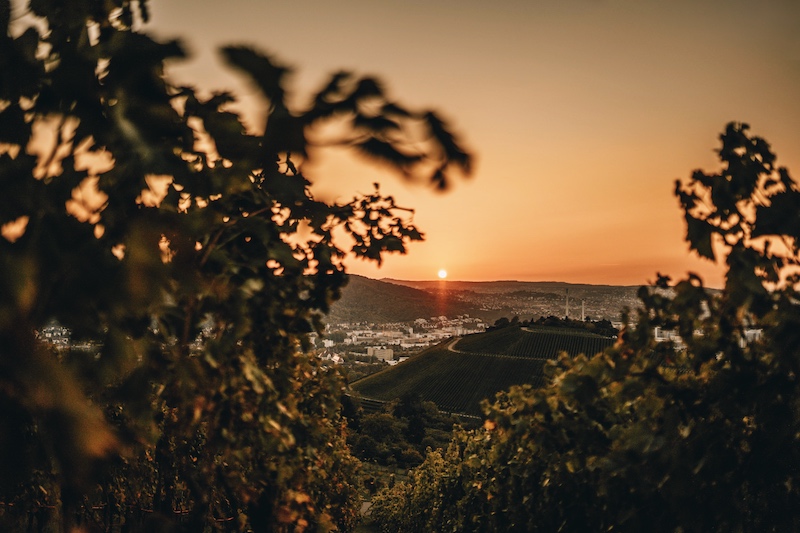 Sonnenuntergang Grabkapelle Stuttgart