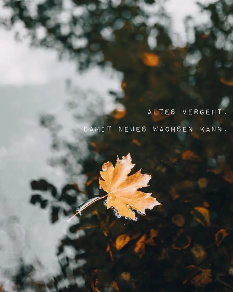 Herbst