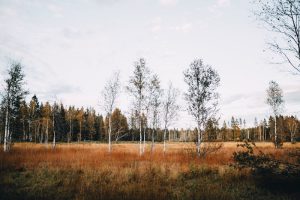 Isny im Allgäu Sehenswürdigkeiten, Food und Ausflugstipps
