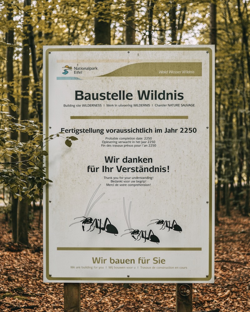 Baustelle Wildnis Wandern in der Eifel