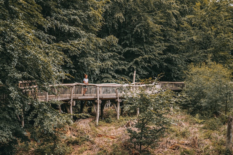 Camper Roadtrip Eifel wandern