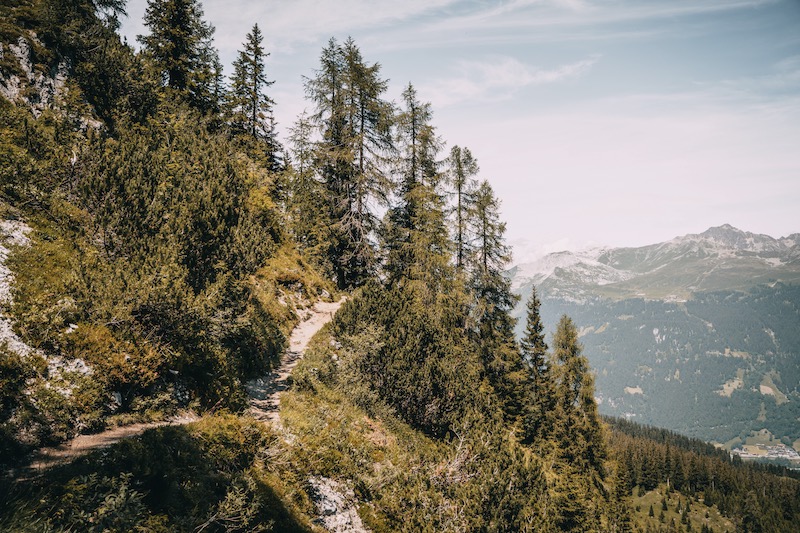 Gotschnaboden Wanderung Davos Klosters im Sommer