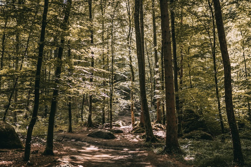 Wanderung Camping in der Eifel