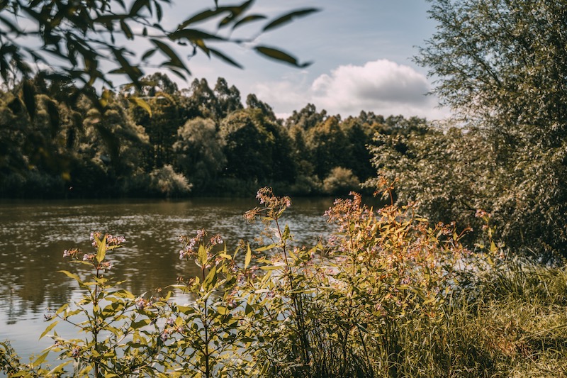 Donauwald Wanderweg Donau