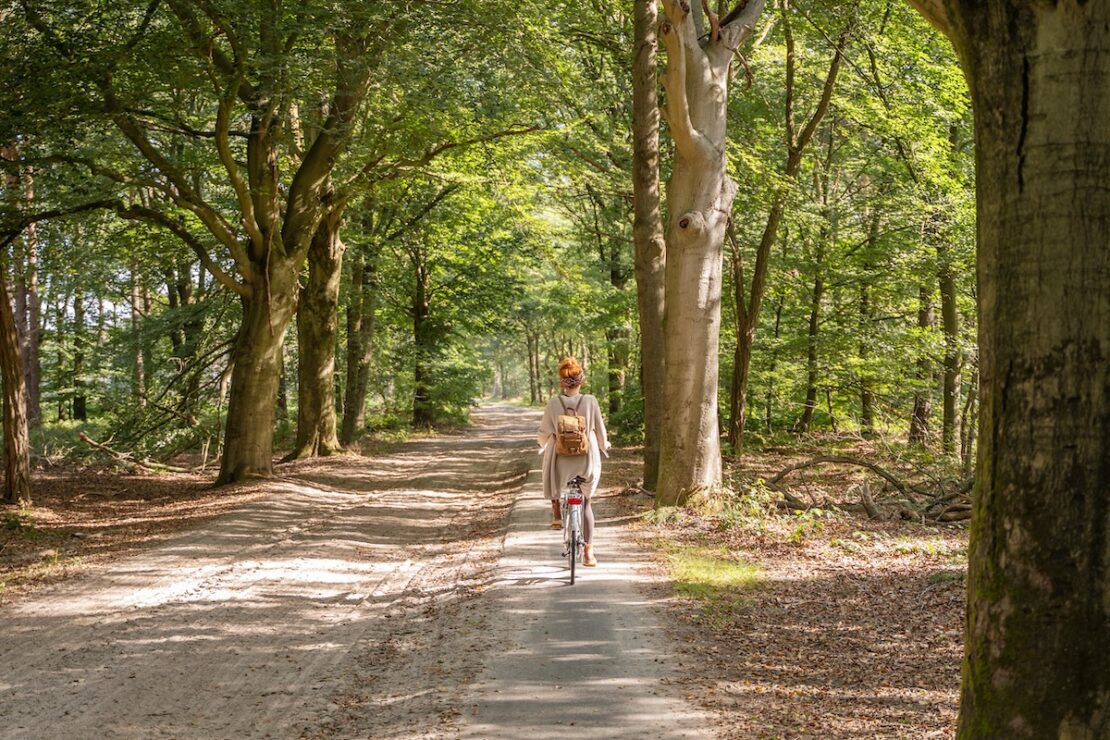 Fahrradfahren in Oisterwijk