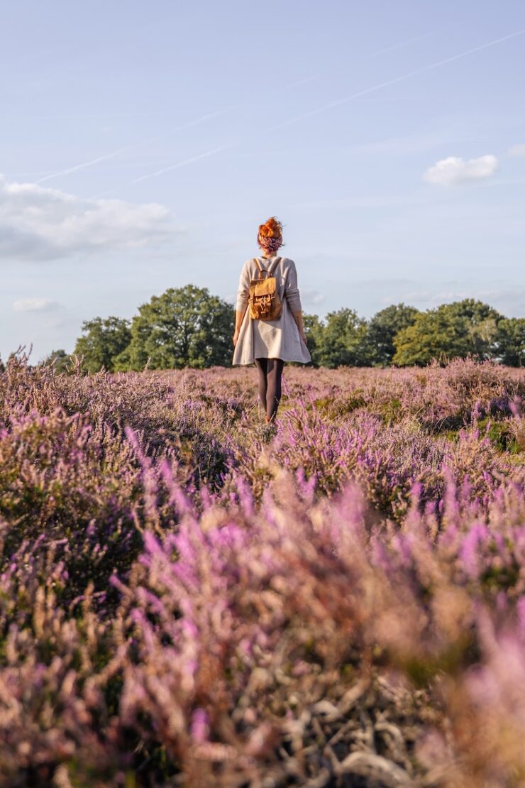 Oisterwijk Niederlande Kampina Heide